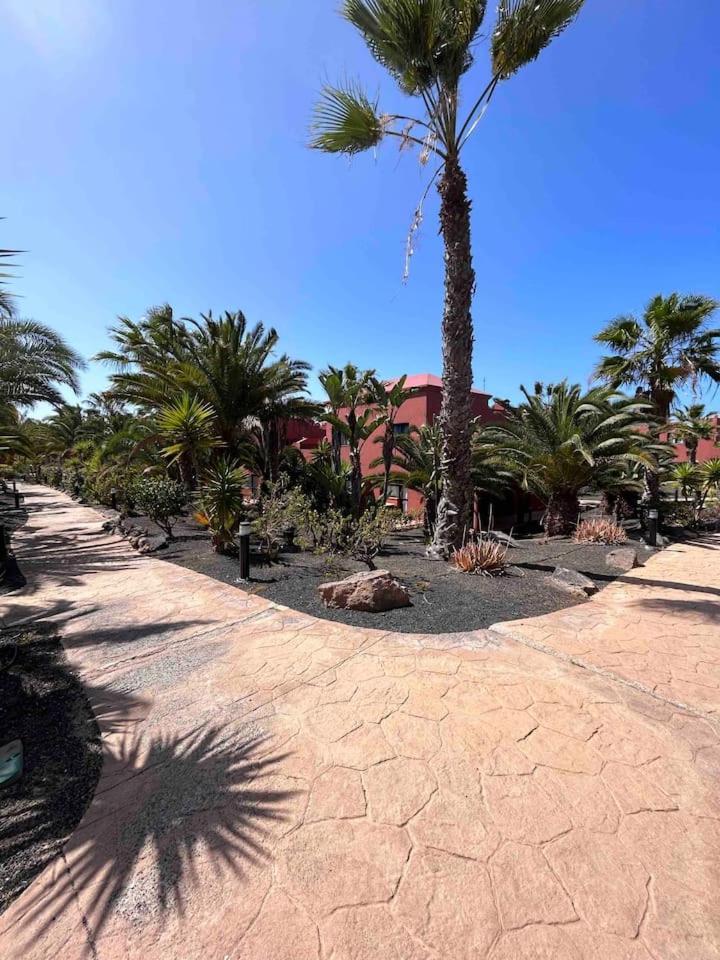 Sun & Sea Apartment In Corralejo Kültér fotó